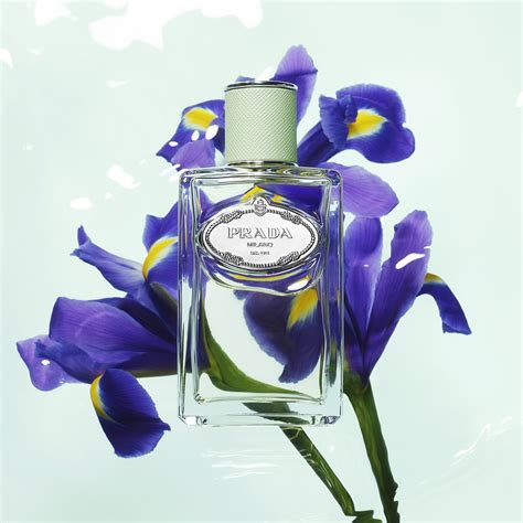 prada iris bargello kodu|iris prada perfume.